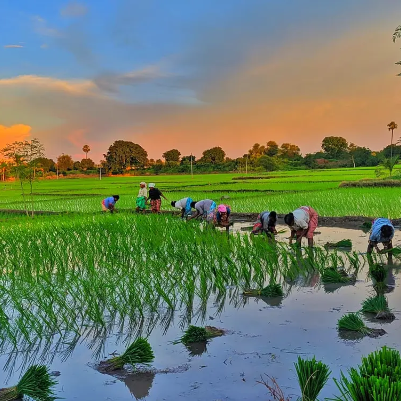 தேசிய அரசியலில் தனித்துவம்